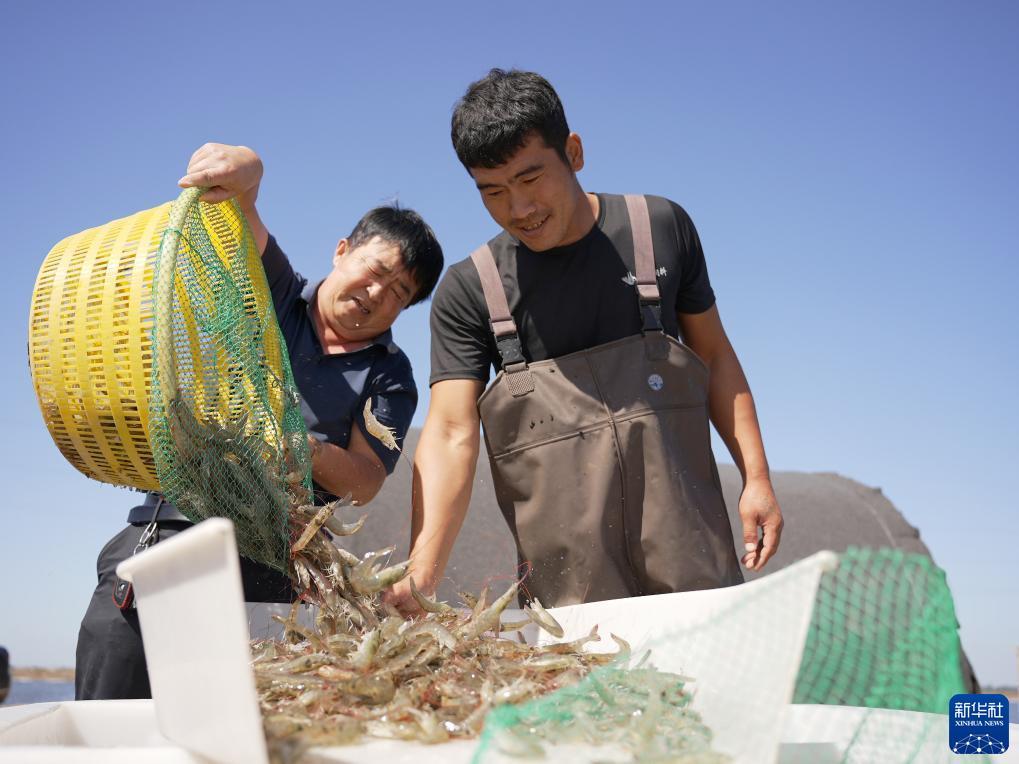 大宝电子游戏网址